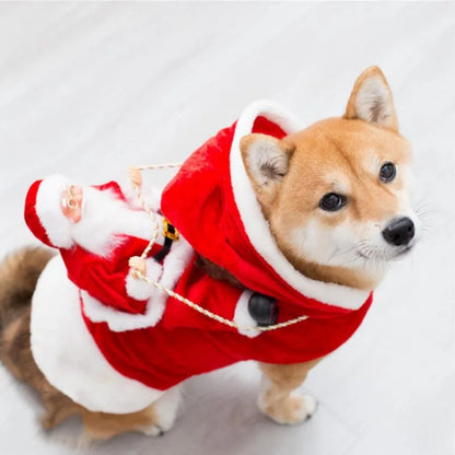 Santa Paws Suit