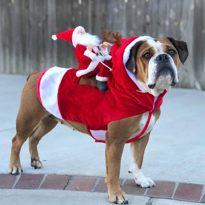 Santa Paws Suit