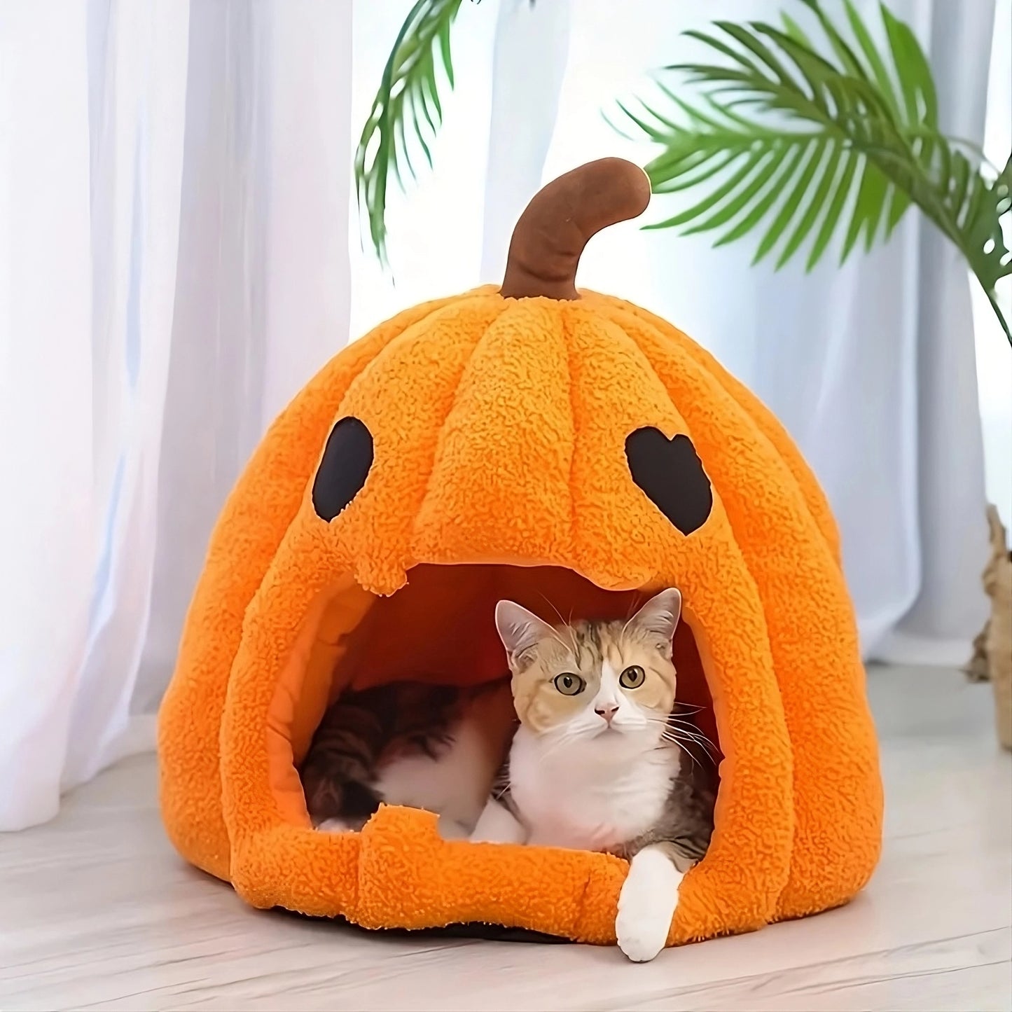 Cat-O'-Lantern Lounger